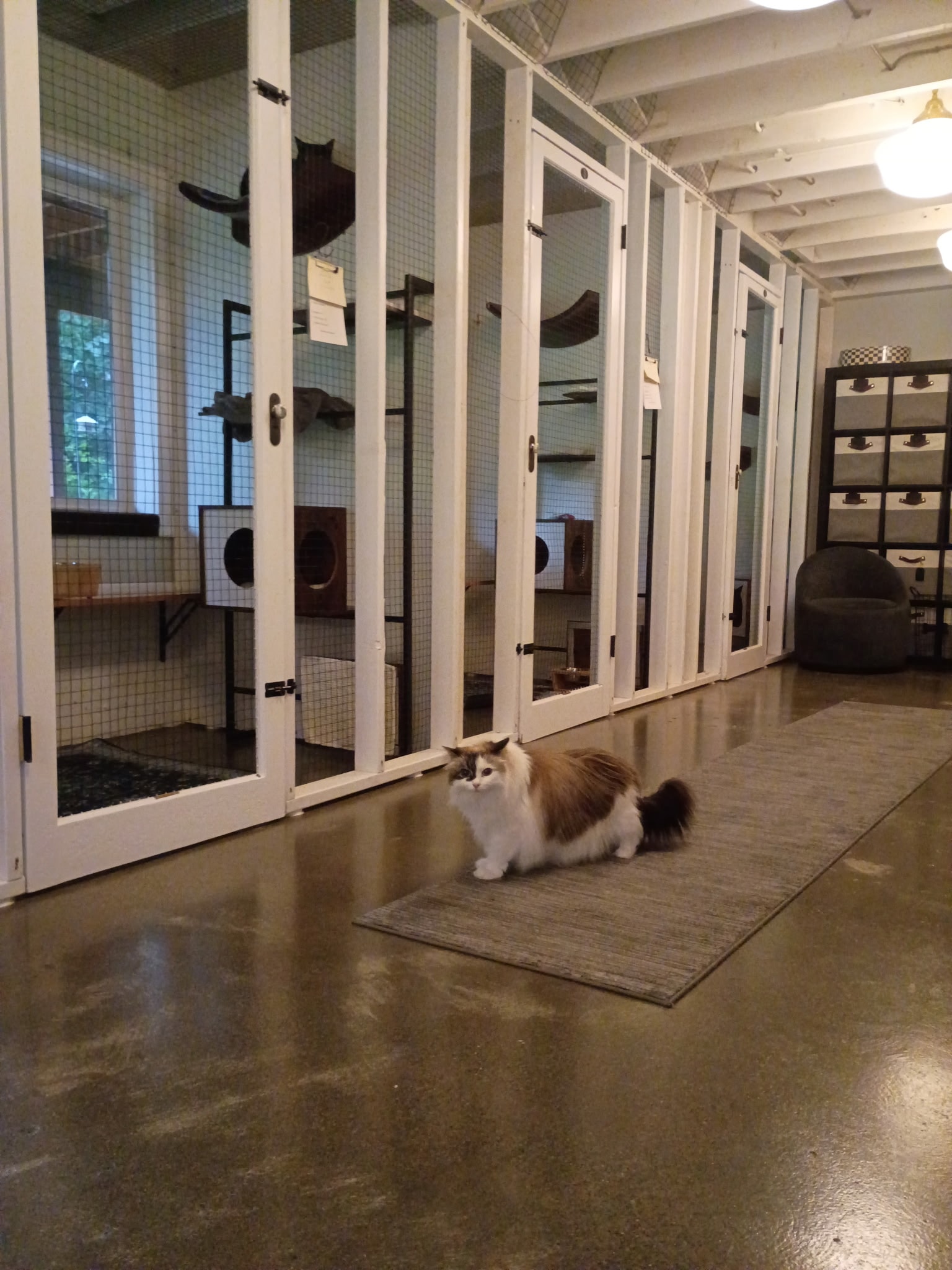 Private Suites
